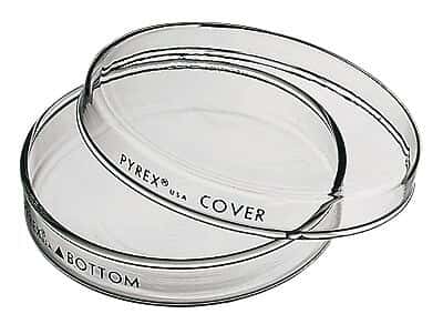 Pyrex Lab Dish Pyrex Brand 3160 Dishes - Cole-Parmer
